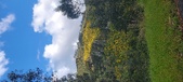 Enlarge photo 600