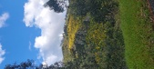 Enlarge photo 601