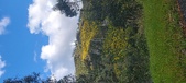 Enlarge photo 602