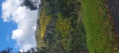 Enlarge photo 603