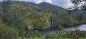 Enlarge photo 604