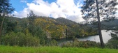 Enlarge photo 605