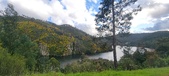 Enlarge photo 606