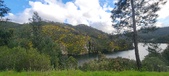 Enlarge photo 607