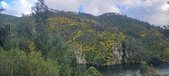 Enlarge photo 608