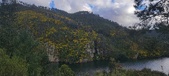 Enlarge photo 609