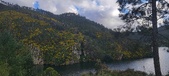 Enlarge photo 610