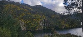 Enlarge photo 611