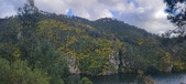 Enlarge photo 612