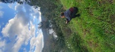 Enlarge photo 619