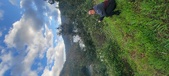 Enlarge photo 620