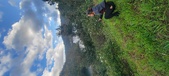 Enlarge photo 621