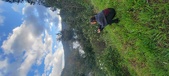 Enlarge photo 622