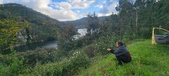 Enlarge photo 623