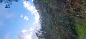 Enlarge photo 627