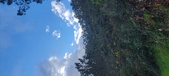 Enlarge photo 628