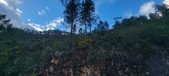 Enlarge photo 630