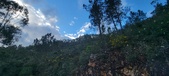 Enlarge photo 631