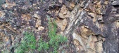 Enlarge photo 634