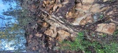 Enlarge photo 635