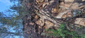 Enlarge photo 636