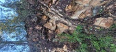 Enlarge photo 637