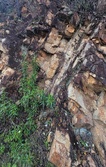 Enlarge photo 638