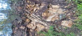 Enlarge photo 640
