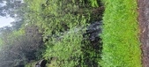 Enlarge photo 641