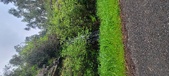 Enlarge photo 642