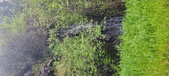 Enlarge photo 643
