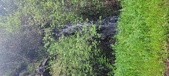 Enlarge photo 644
