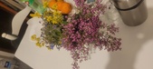 Enlarge photo 645
