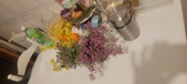 Enlarge photo 646