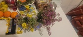 Enlarge photo 647