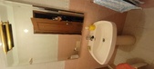 Enlarge photo 654