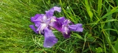Enlarge photo 683