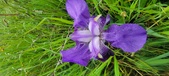 Enlarge photo 689