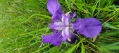 Enlarge photo 690