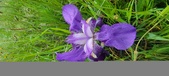 Enlarge photo 691
