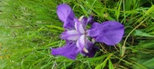 Enlarge photo 692