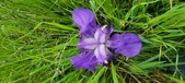 Enlarge photo 693
