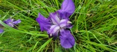 Enlarge photo 694