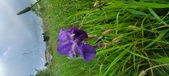 Enlarge photo 696
