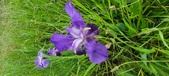 Enlarge photo 700