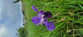 Enlarge photo 702
