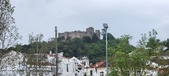 Enlarge photo 175