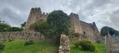 Enlarge photo 63