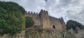 Enlarge photo 72