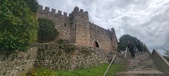 Enlarge photo 74